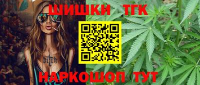 гидра Краснознаменск