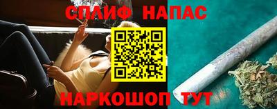 гидра Краснознаменск