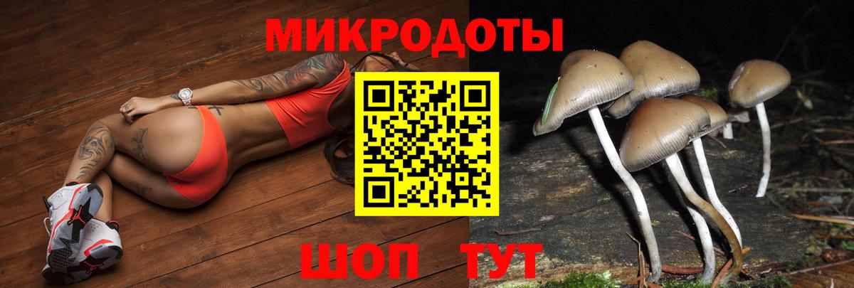 Псилоцибиновые грибы Cubensis  Вход с VPN  Знаменск 
